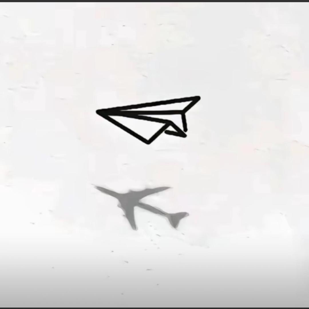 小灰灰.