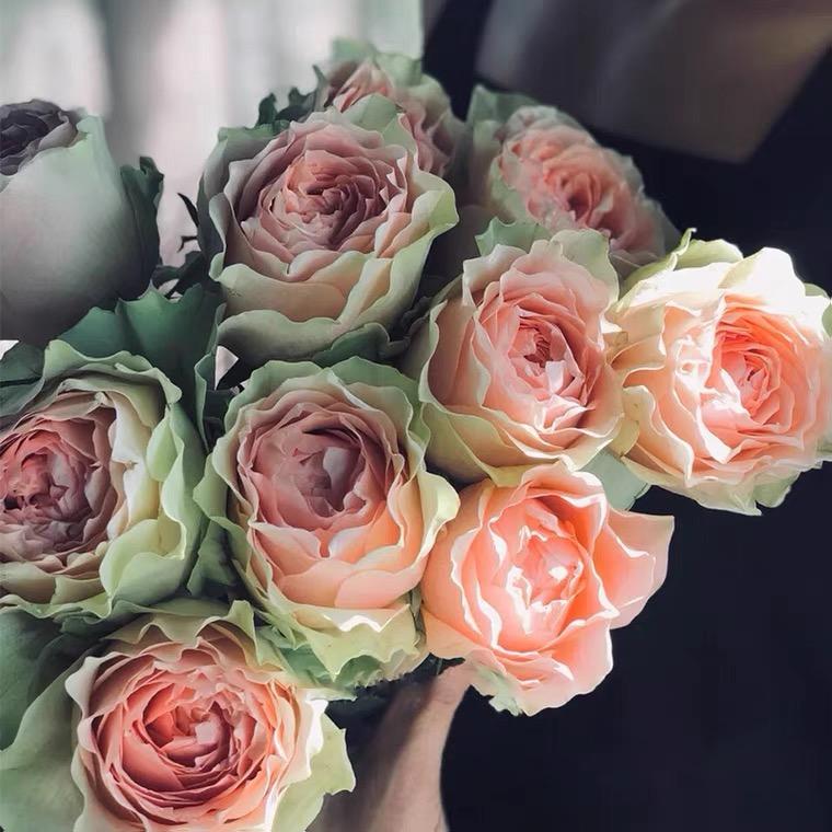 宜良县乐妍苗木种植园授权号