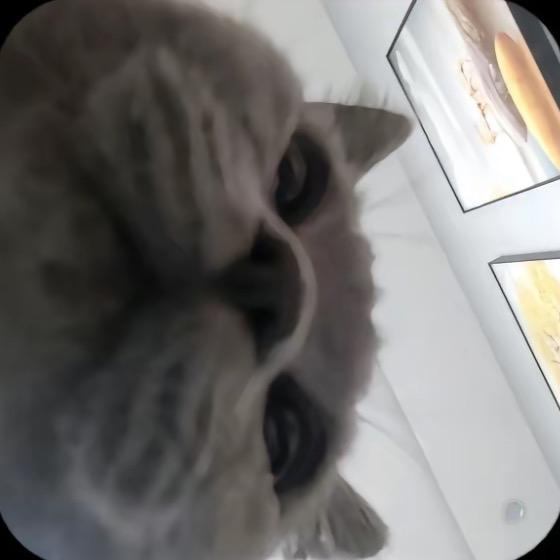 酸菜鱼