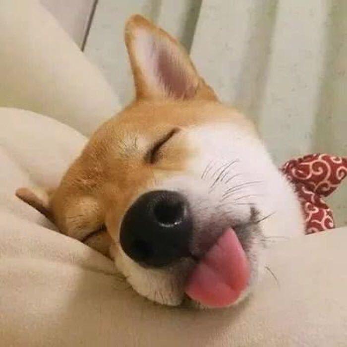 碰灯