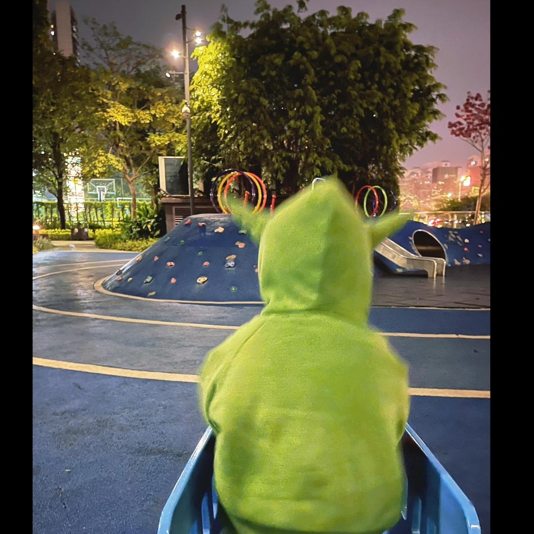 荷兰豆豆🐷