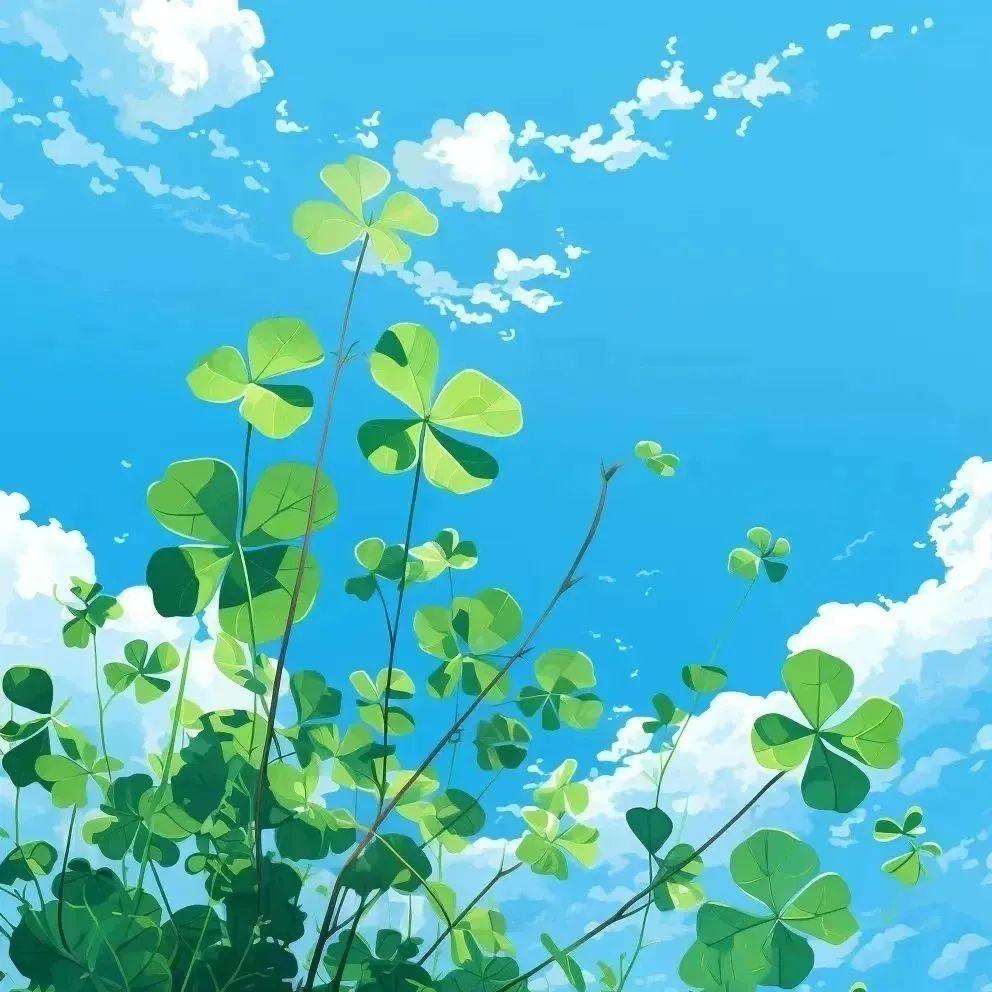 婷姐～ 回收一手斑 二手斑源头工厂