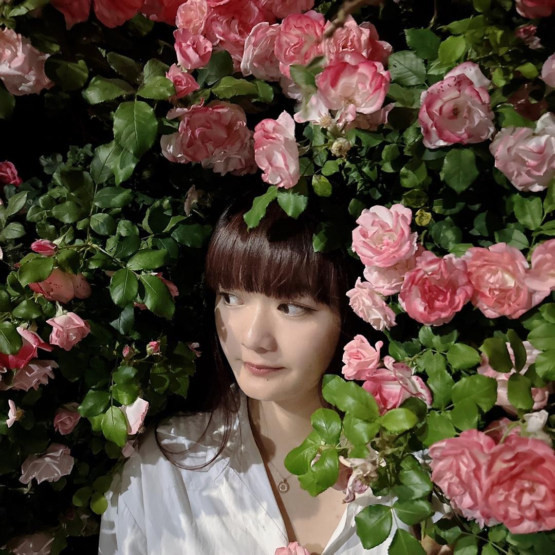 仙女不蒋理🐱。
