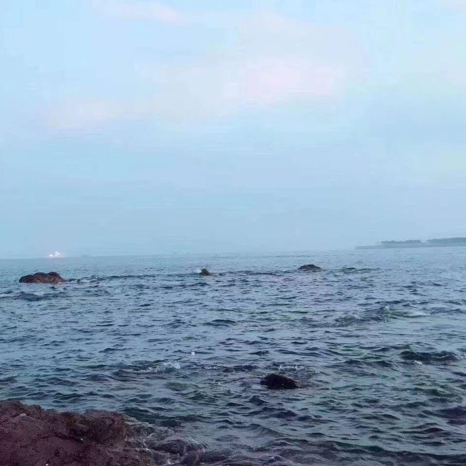 夏天的风