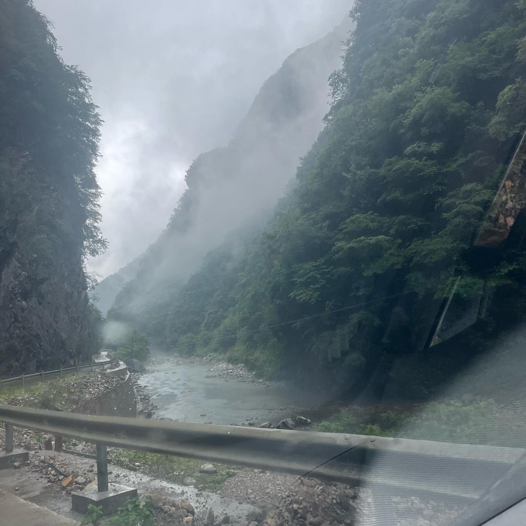 团团哥