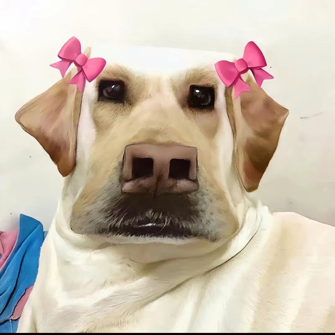 园园小姨（努力版🌤️）