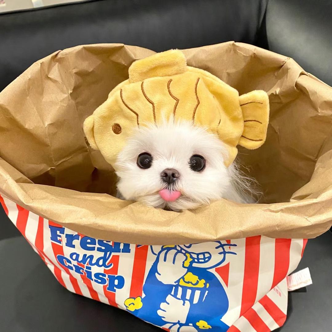 77的后花园🐕‍🦺