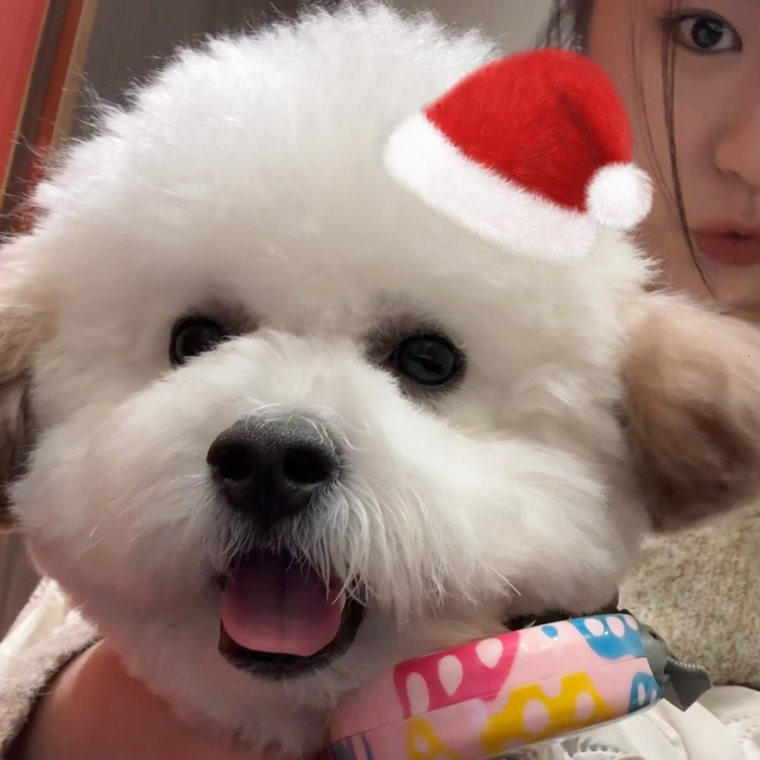 Hui ✿：）