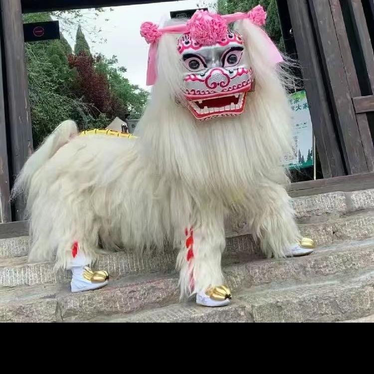 沧州舞狮团