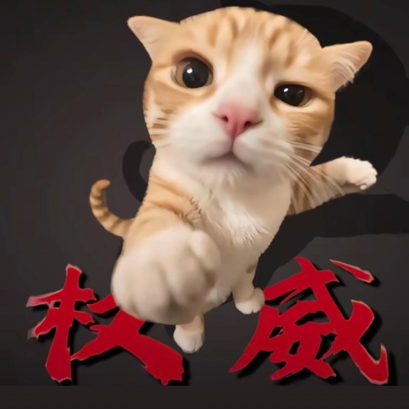 笨蛋美女