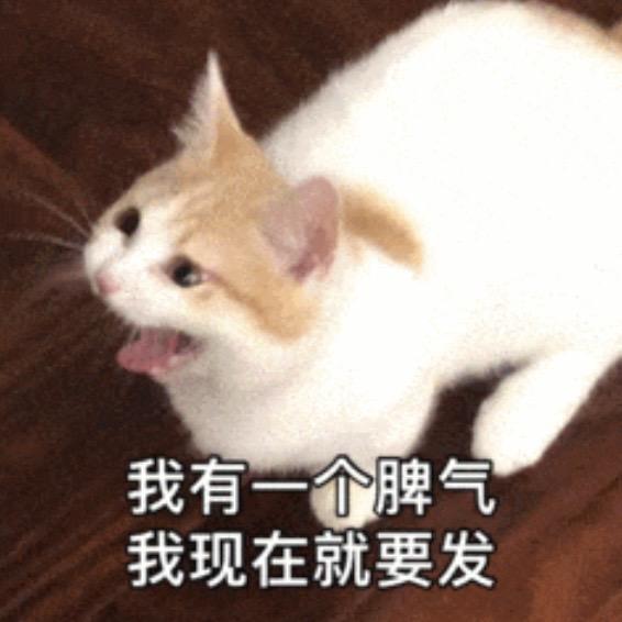 _yinng头像