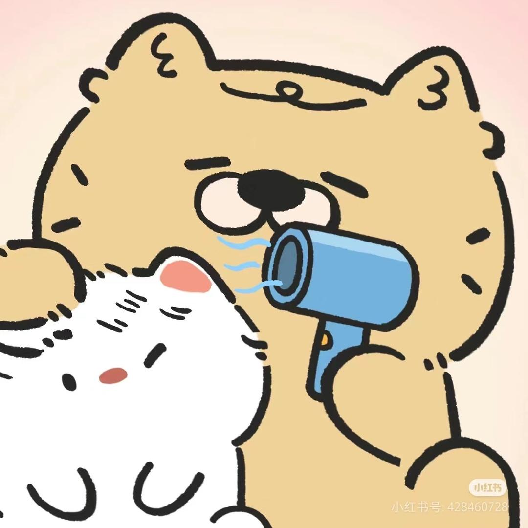 观生