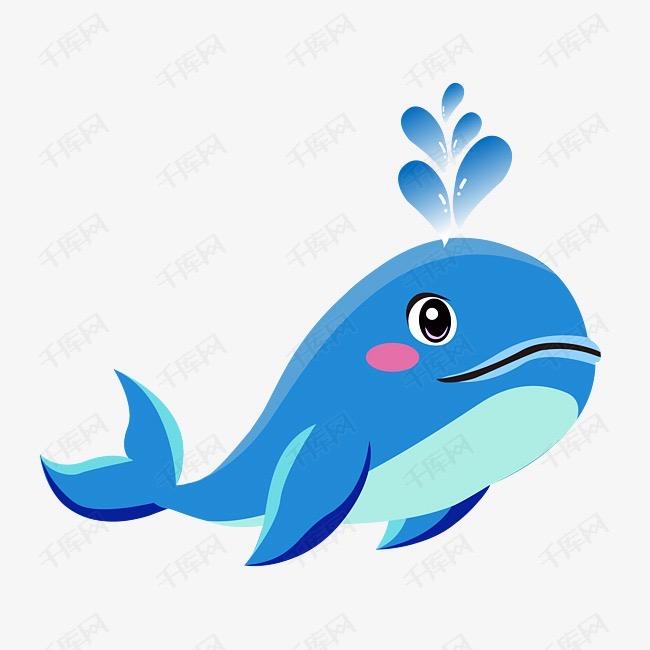 鲸鱼飘飘🐳