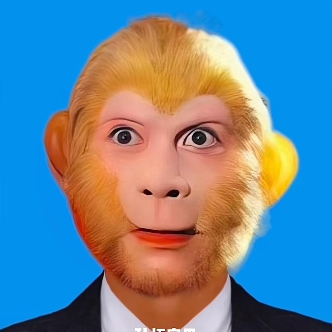大二单