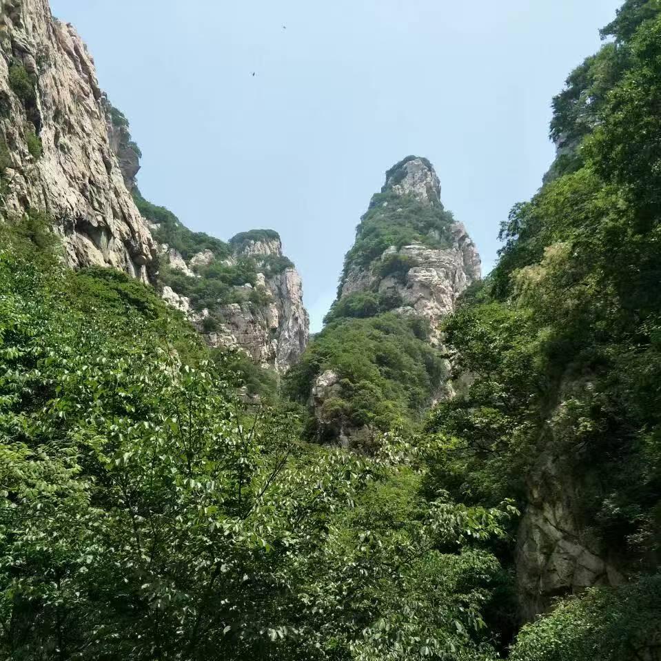 所向披靡