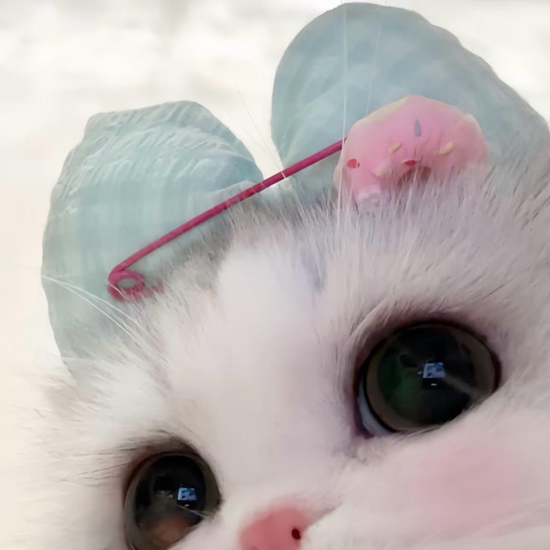 小黄桃