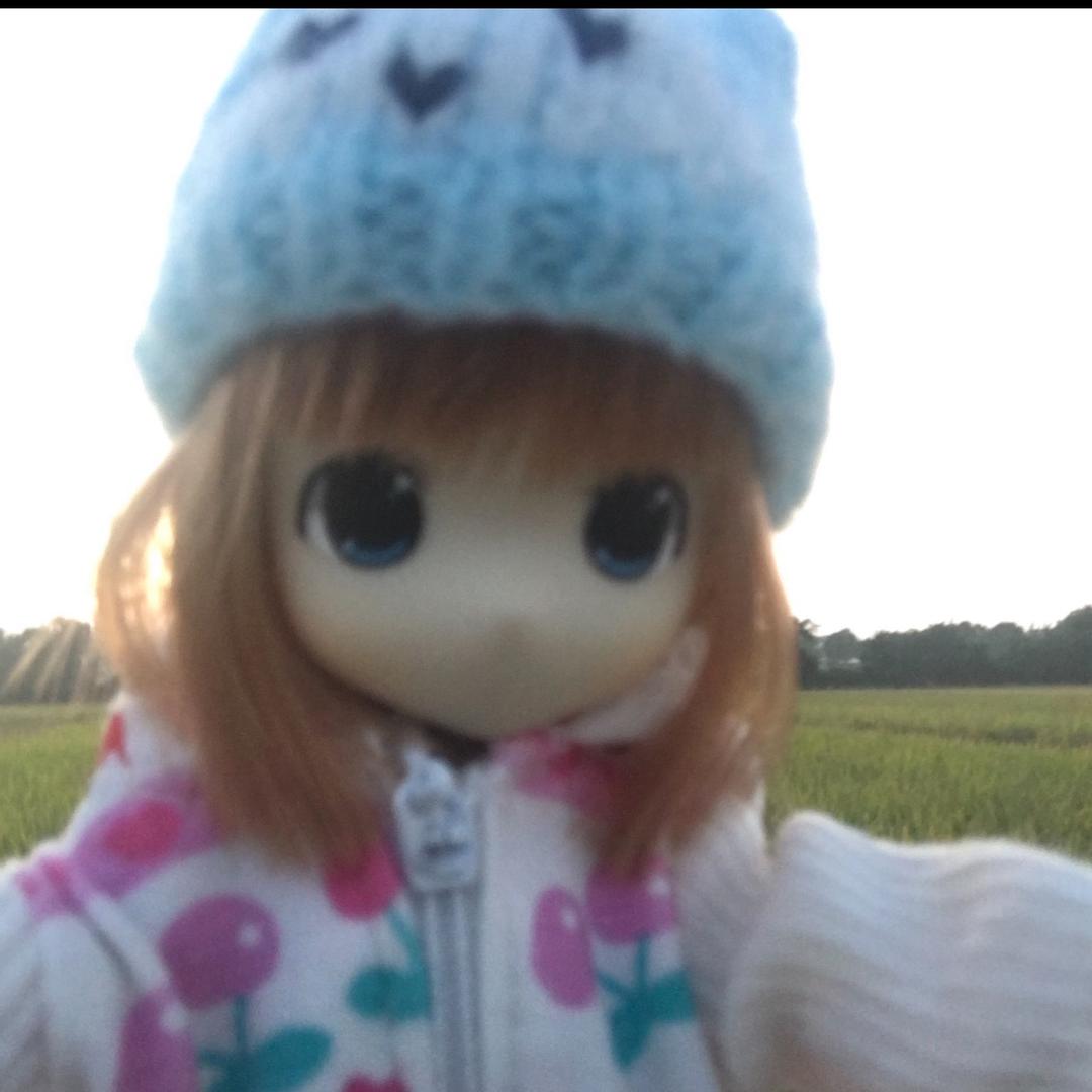 葱花