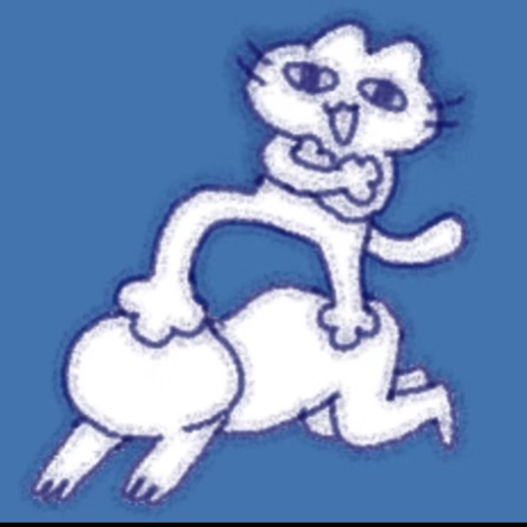 人类没有猫耳