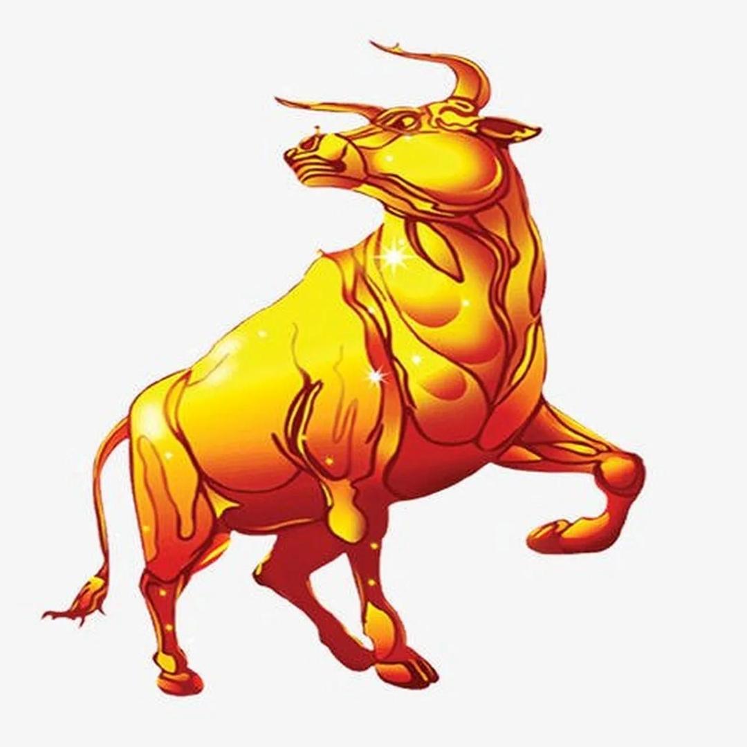 华南鲜牛杂 牛腩批发