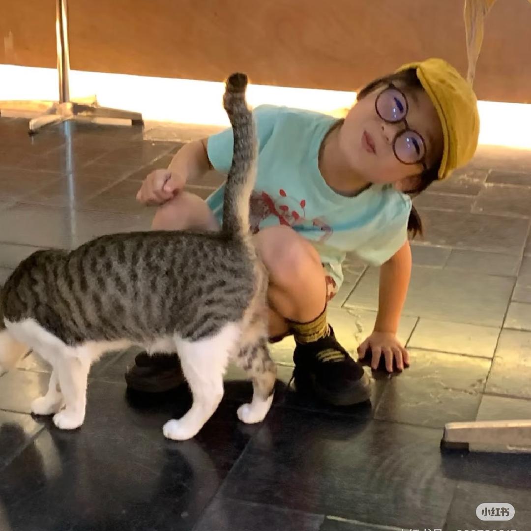 蜡笔小新的妮妮