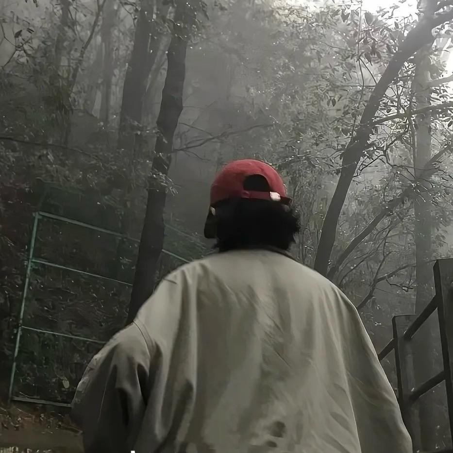 爱吃青菜的狐狸