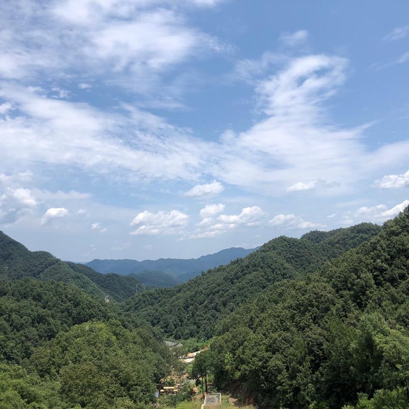 小鲍