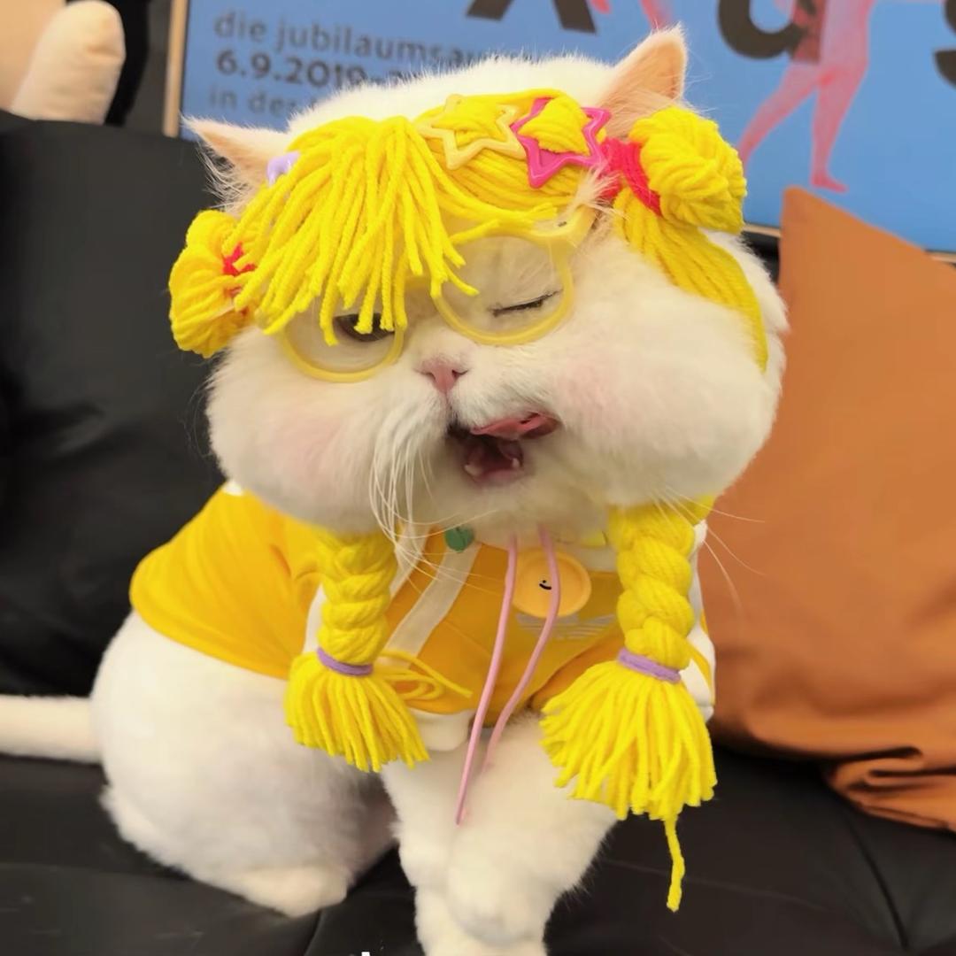 苏苏Su
