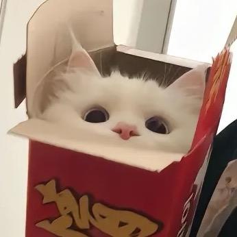 @饺子