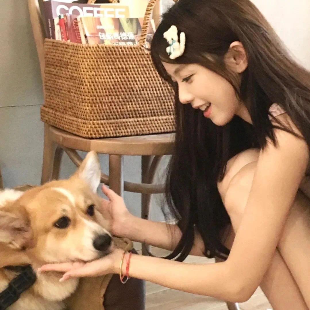 猫叔