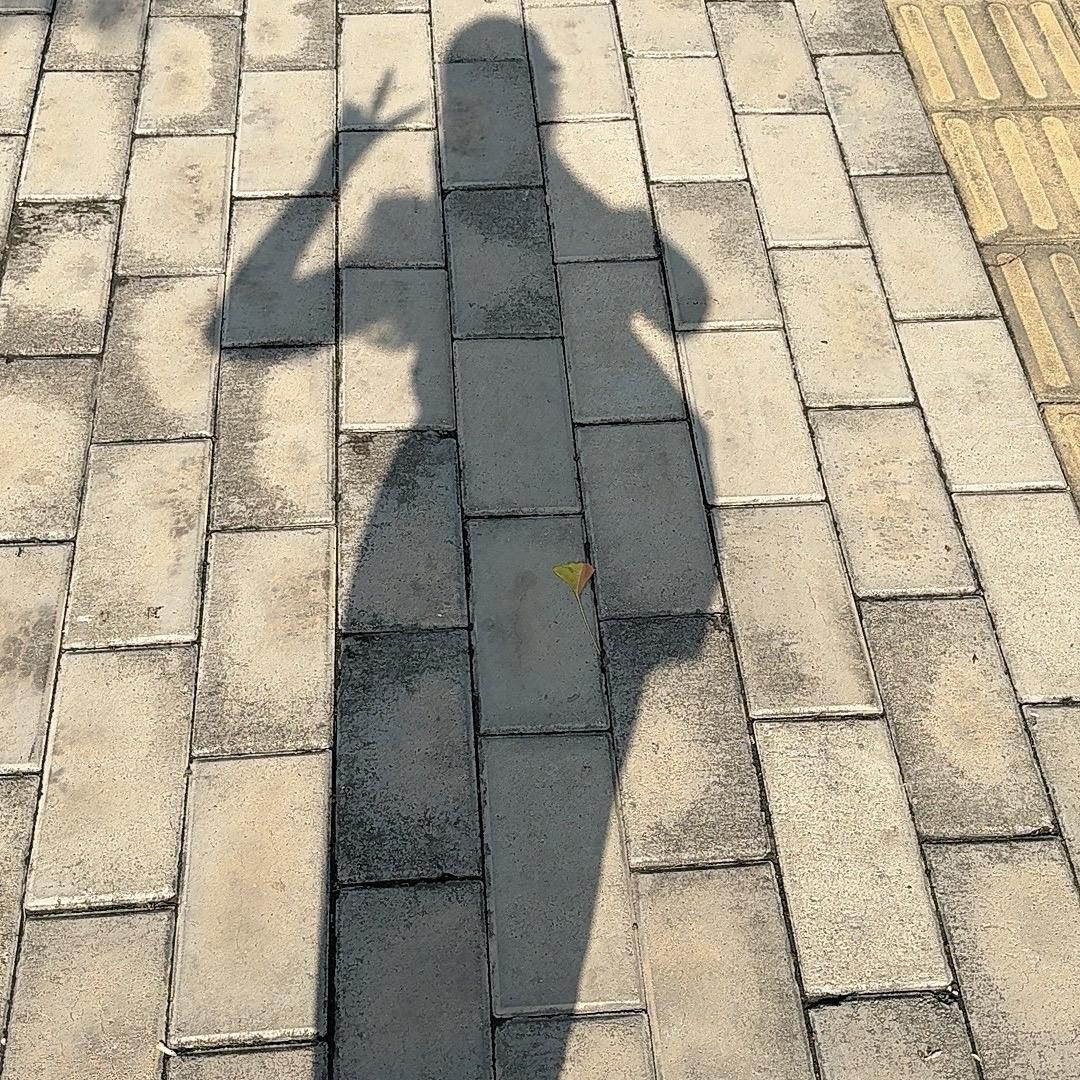 用户