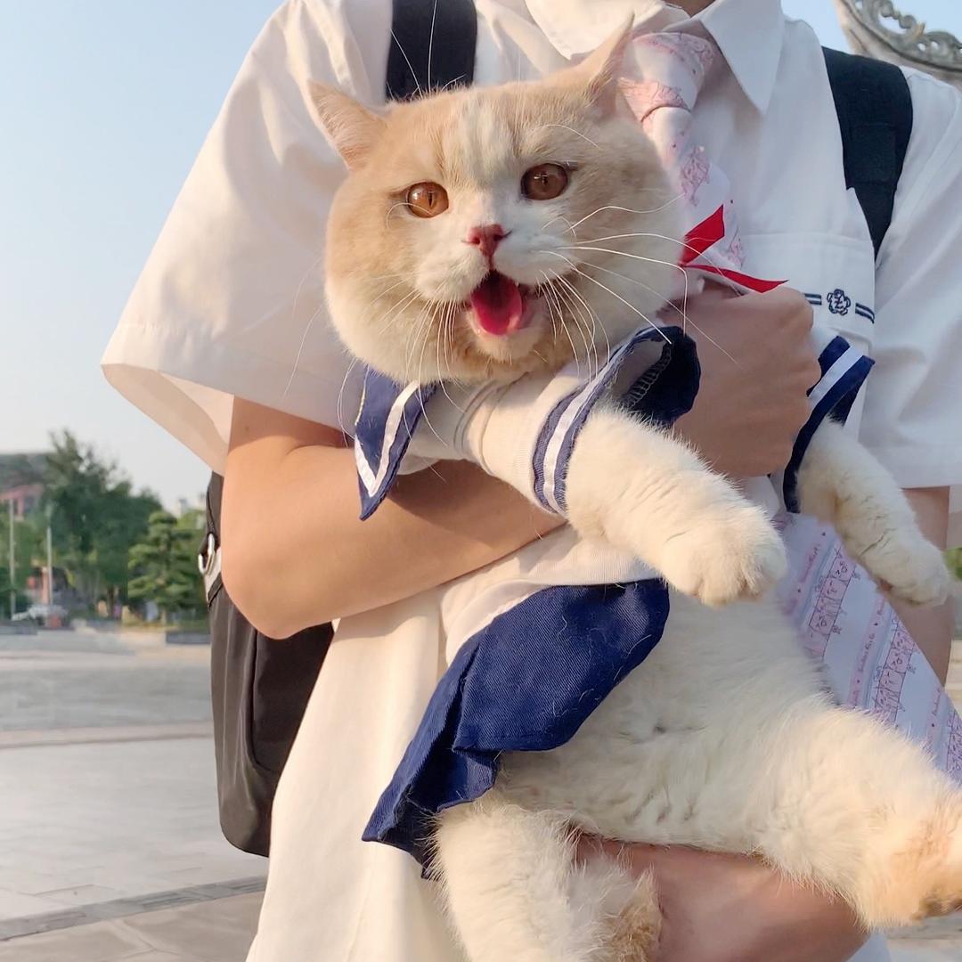 小山胖的甜蜜时光@抖音