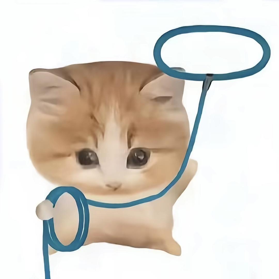 性感内向大肉包