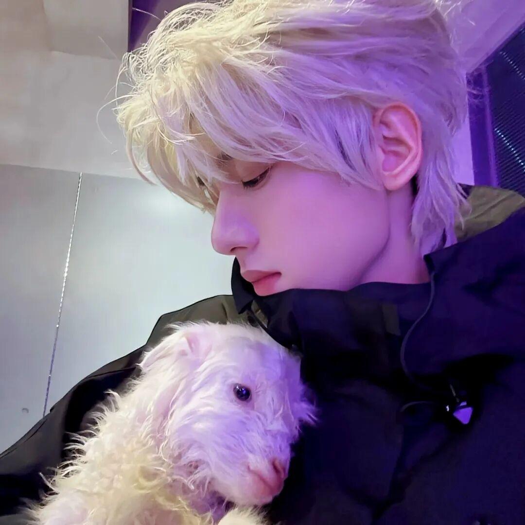 ღ༙·忆隨花逝🍂