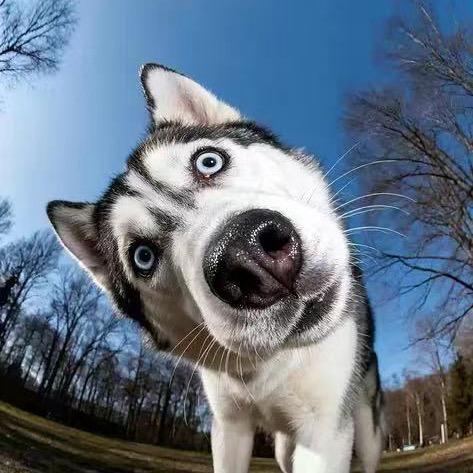 明天不上班🤸‍♂️