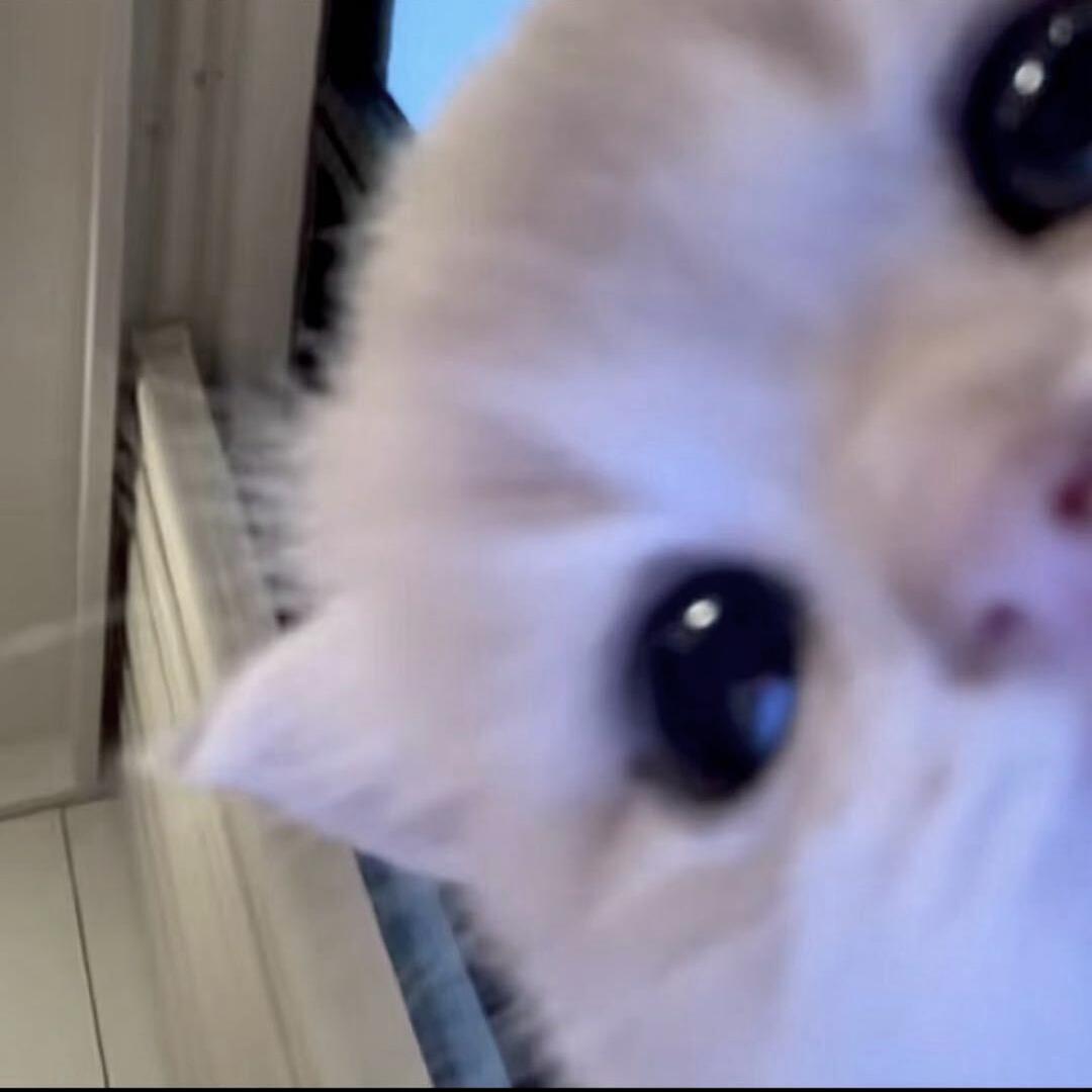 水枪装尿滋谁谁叫