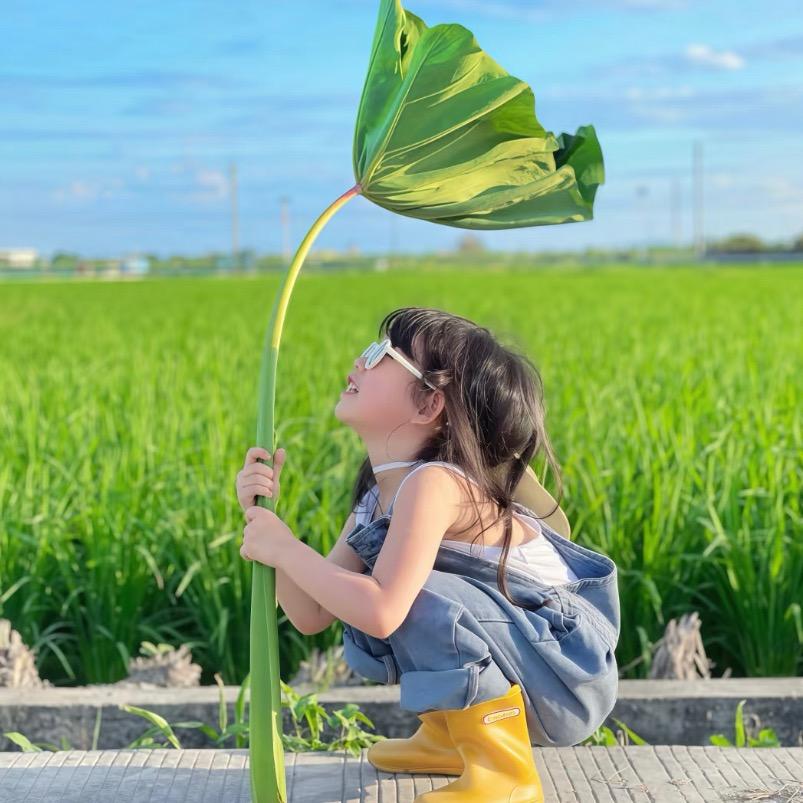 招财进宝小喇叭📣