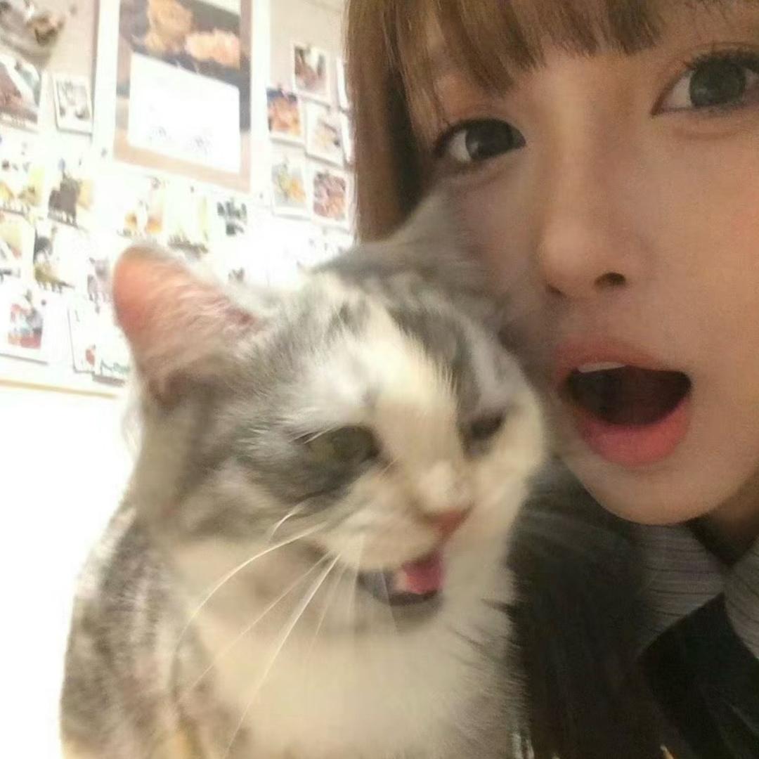 讨厌妮
