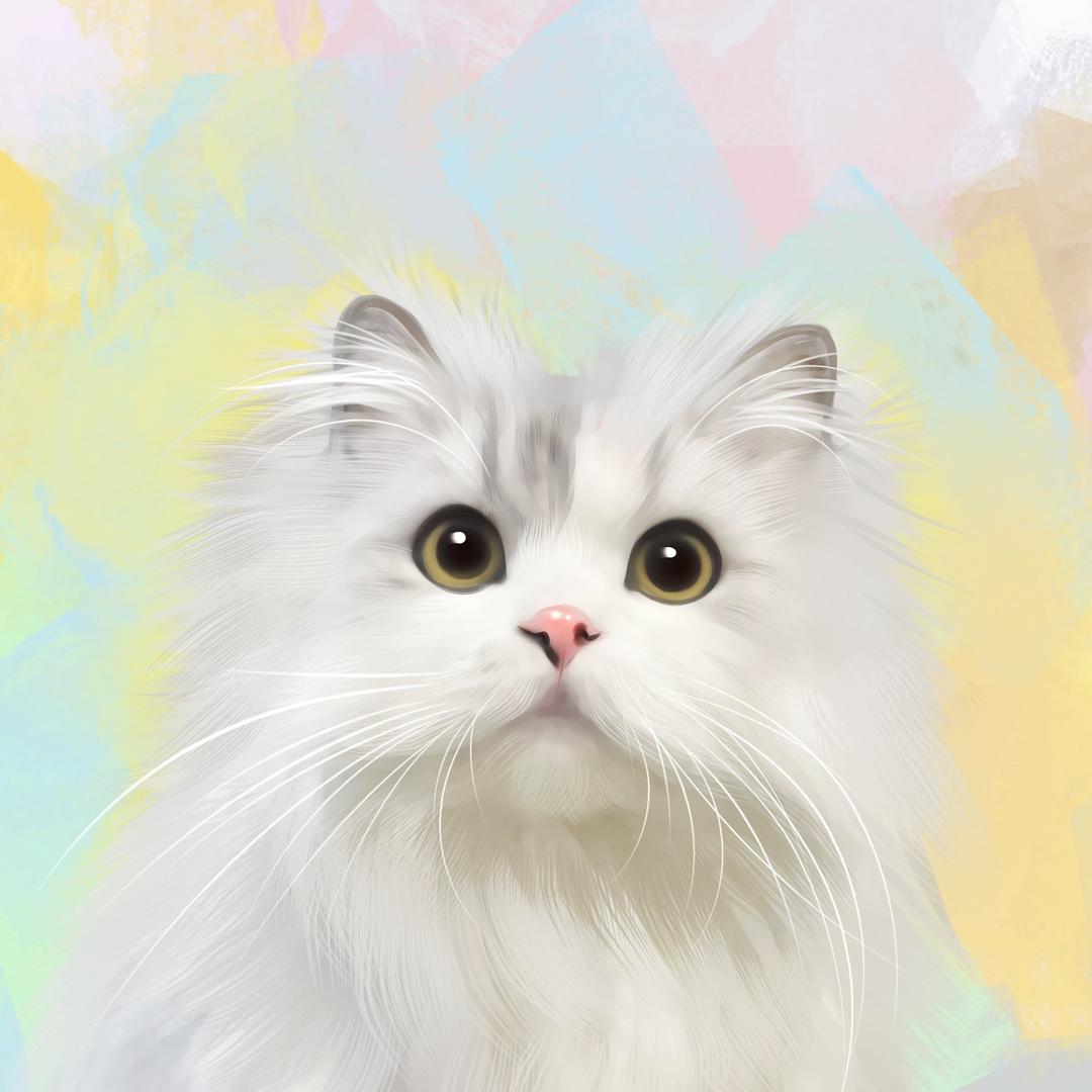 KiKi_