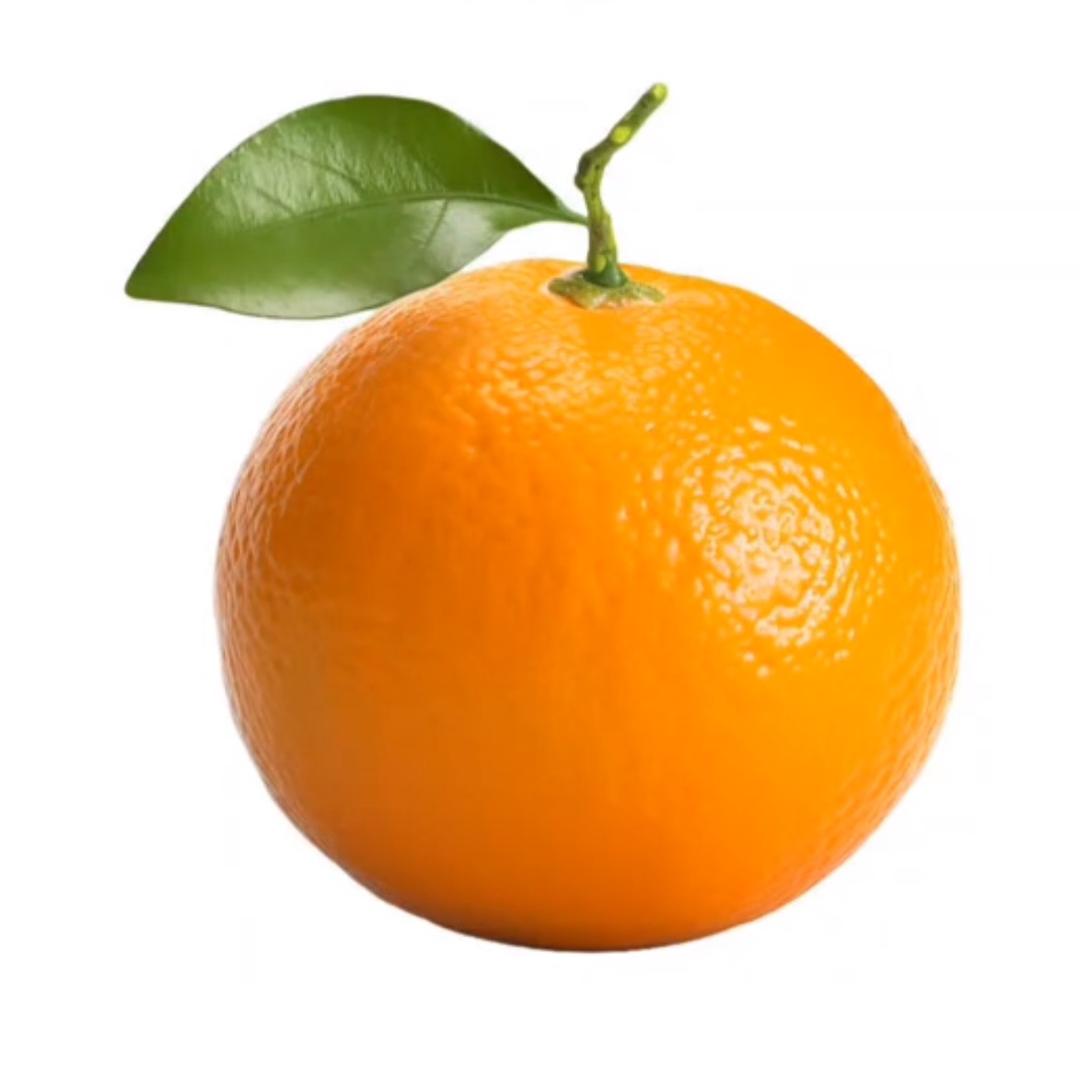 金桔ber🍊