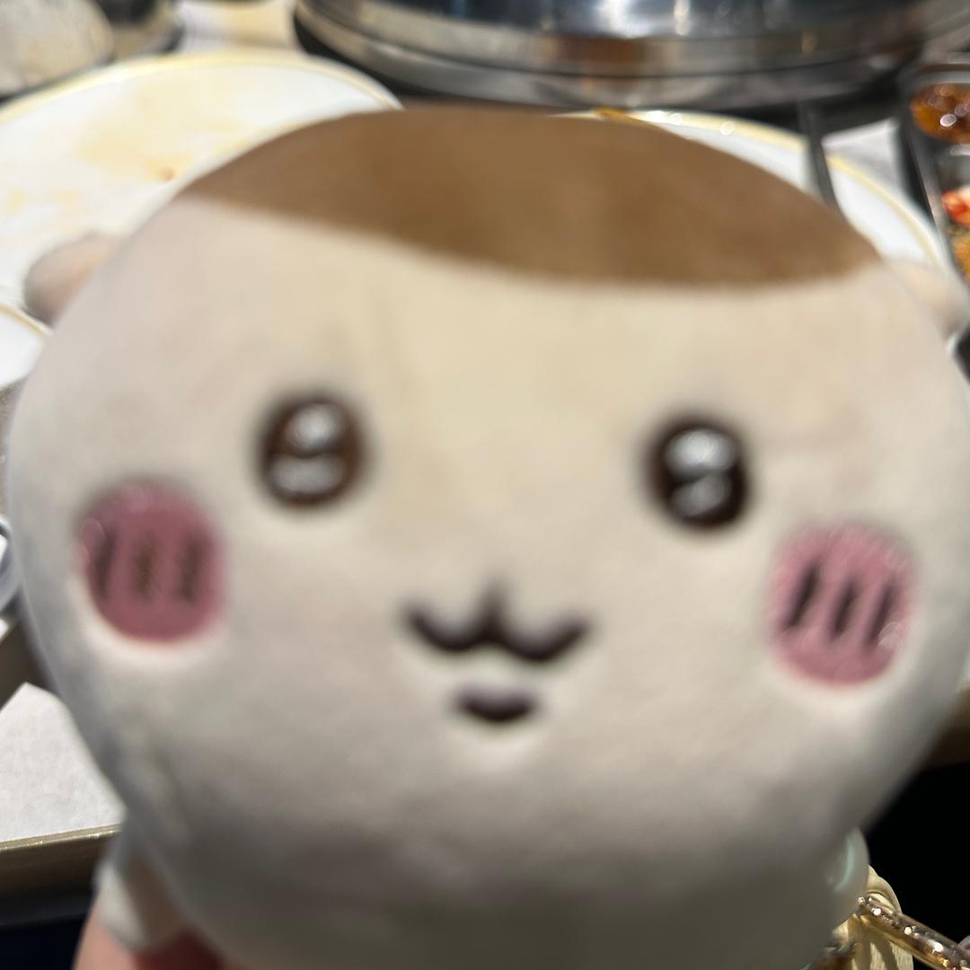 木瓜在地球击剑