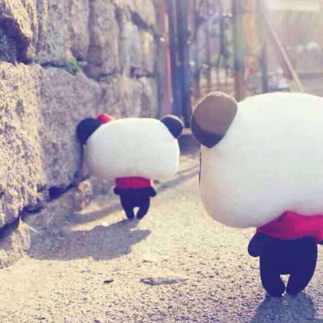 吕小布❤️