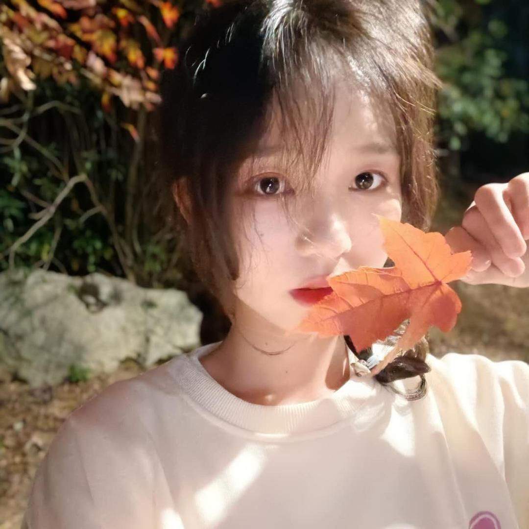 菜菜菜籽