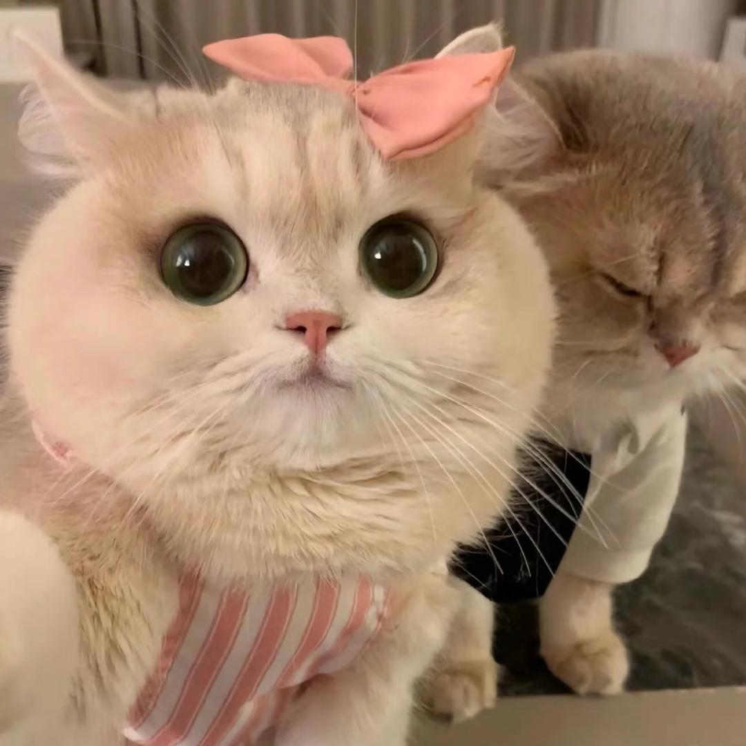 哇～