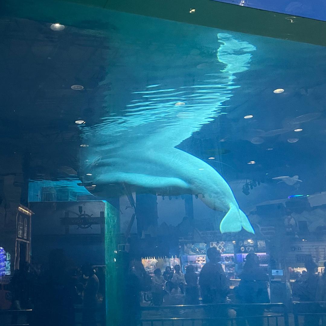 喜歡和討厭是一對反義詞