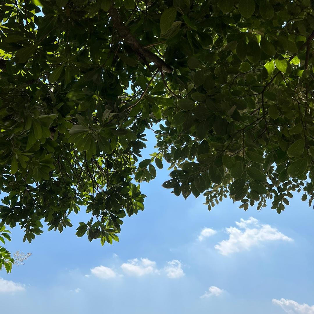 阡陌