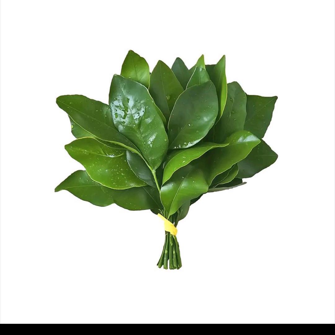 好 💠