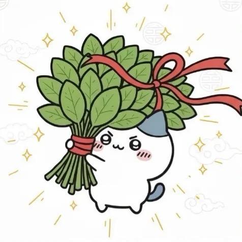 名创有礼～柚子