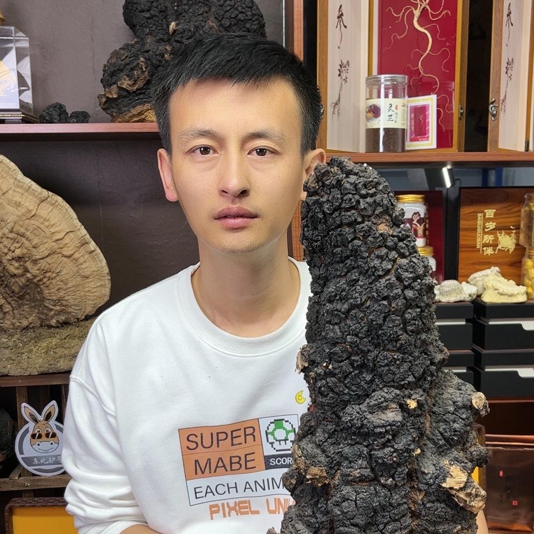 驴哥甄选桦树茸