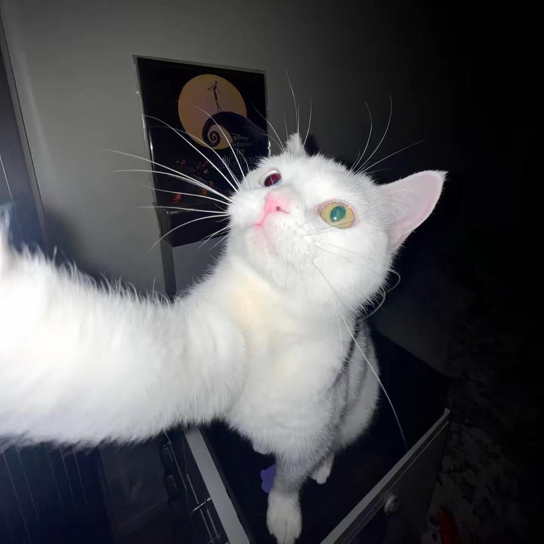 不想吃棒冰🧊