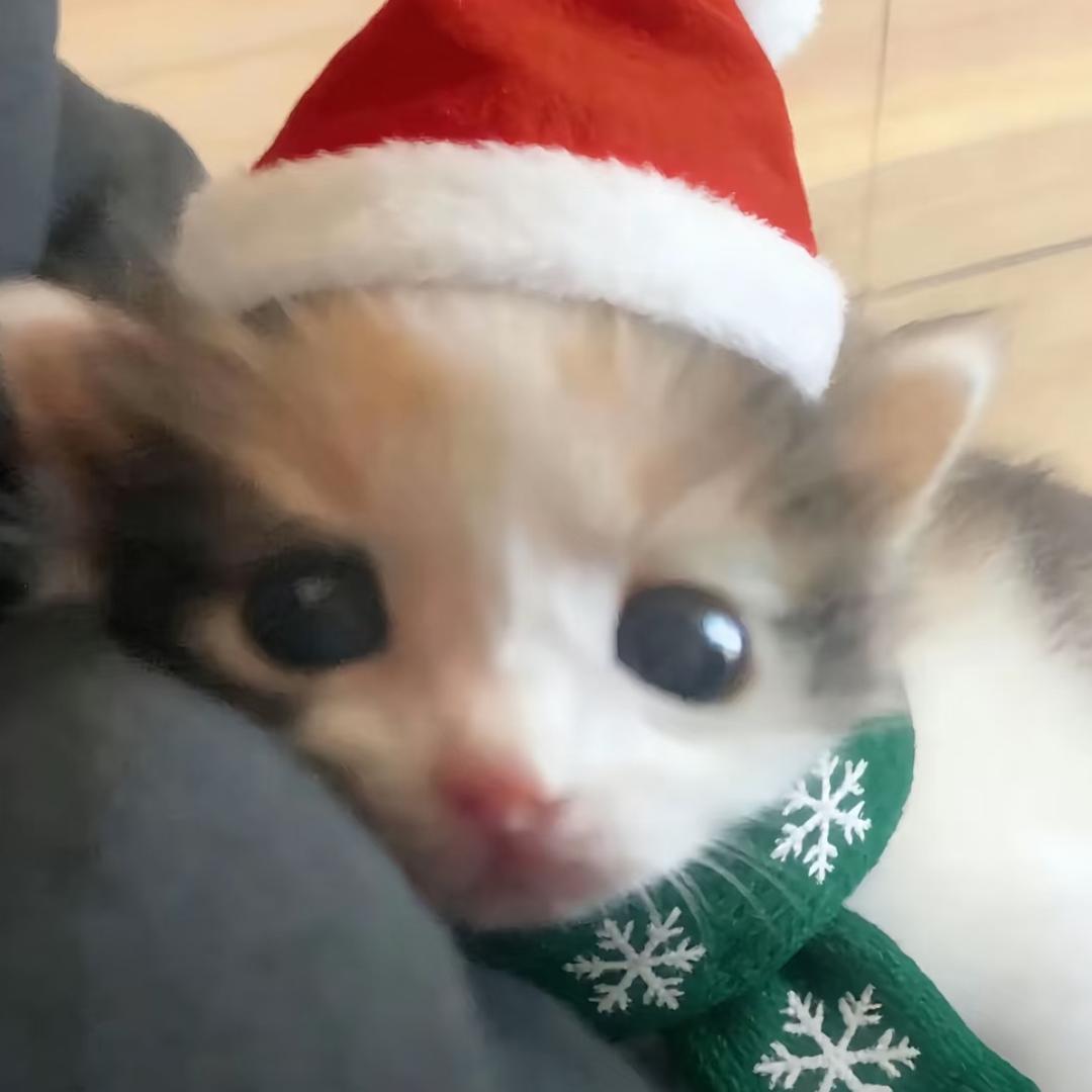 点点